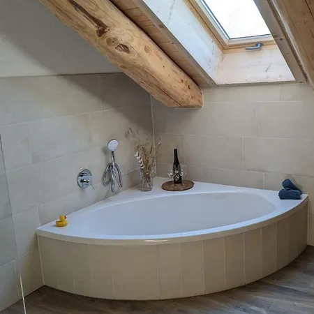 Waldzeit - Eule Neuhutten (Rhineland-Palatinate)