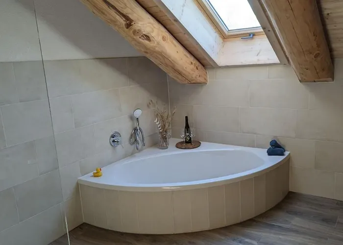 Waldzeit - Eule Neuhutten (Rhineland-Palatinate)